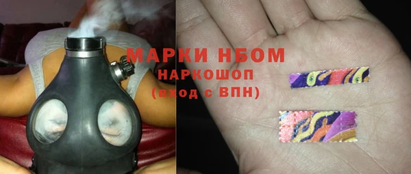 ешки Бородино
