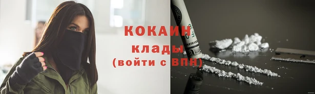 ешки Бородино